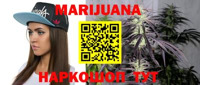 сатива Краснознаменск