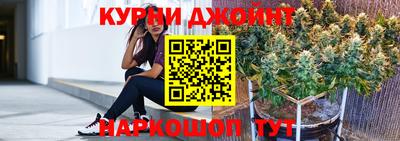 сатива Краснознаменск