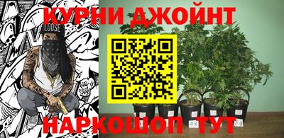 сатива Краснознаменск