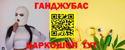 сатива Краснознаменск