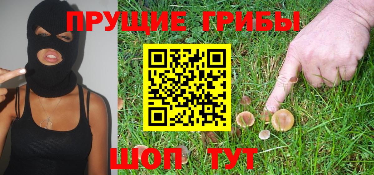 Галлюциногенные грибы MAGIC MUSHROOMS  Вход с VPN  Касимов 